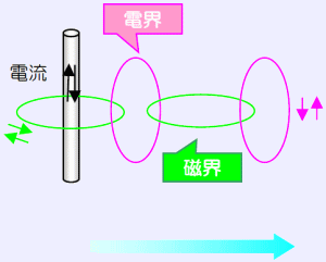 画像の説明